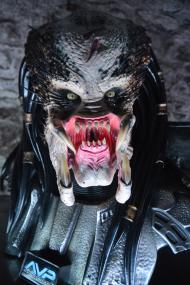 คนไม่ใช่คน