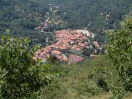 The Case of Dr. Laurent