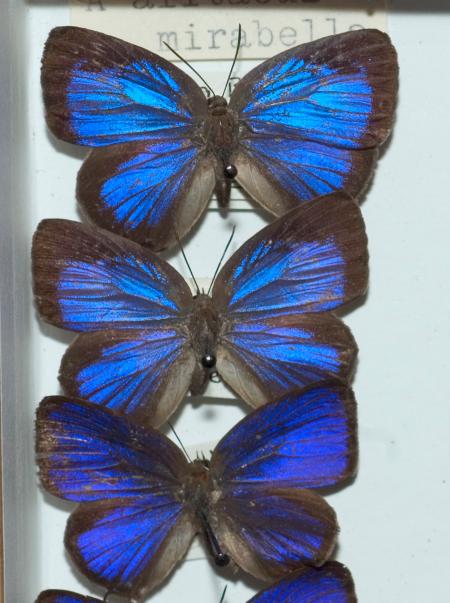 William Doherty ภาพยนตร์ รายการ  (ผลงานภาพยนตร์) 