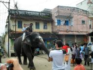 แอนดรู ลอเออร์